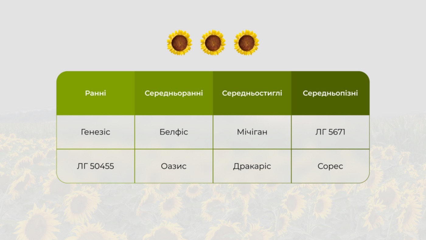 Вибірка гібридів під технологію Clearfield Plus, поділені за групою стиглості.