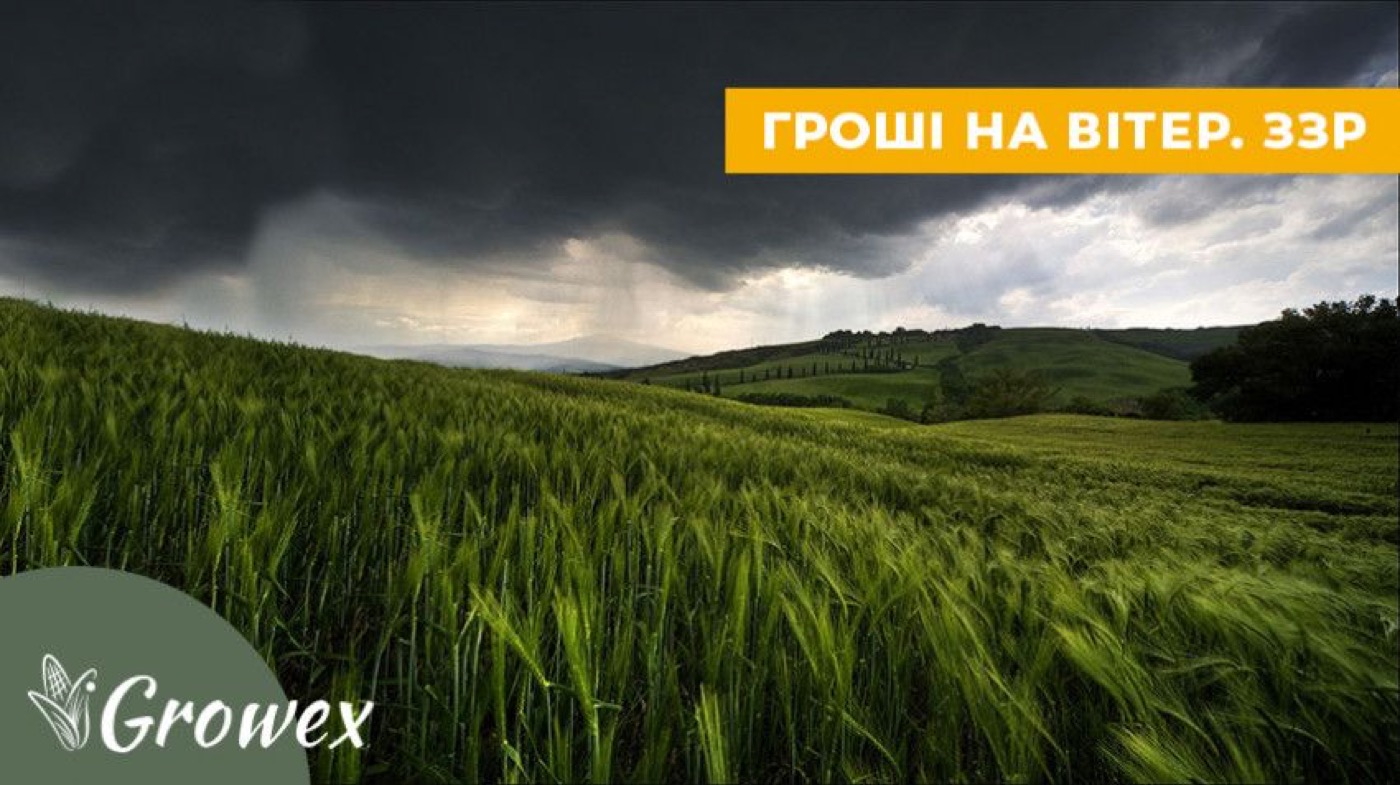 Фактори, що впливають на ефективність обробки пестицидами