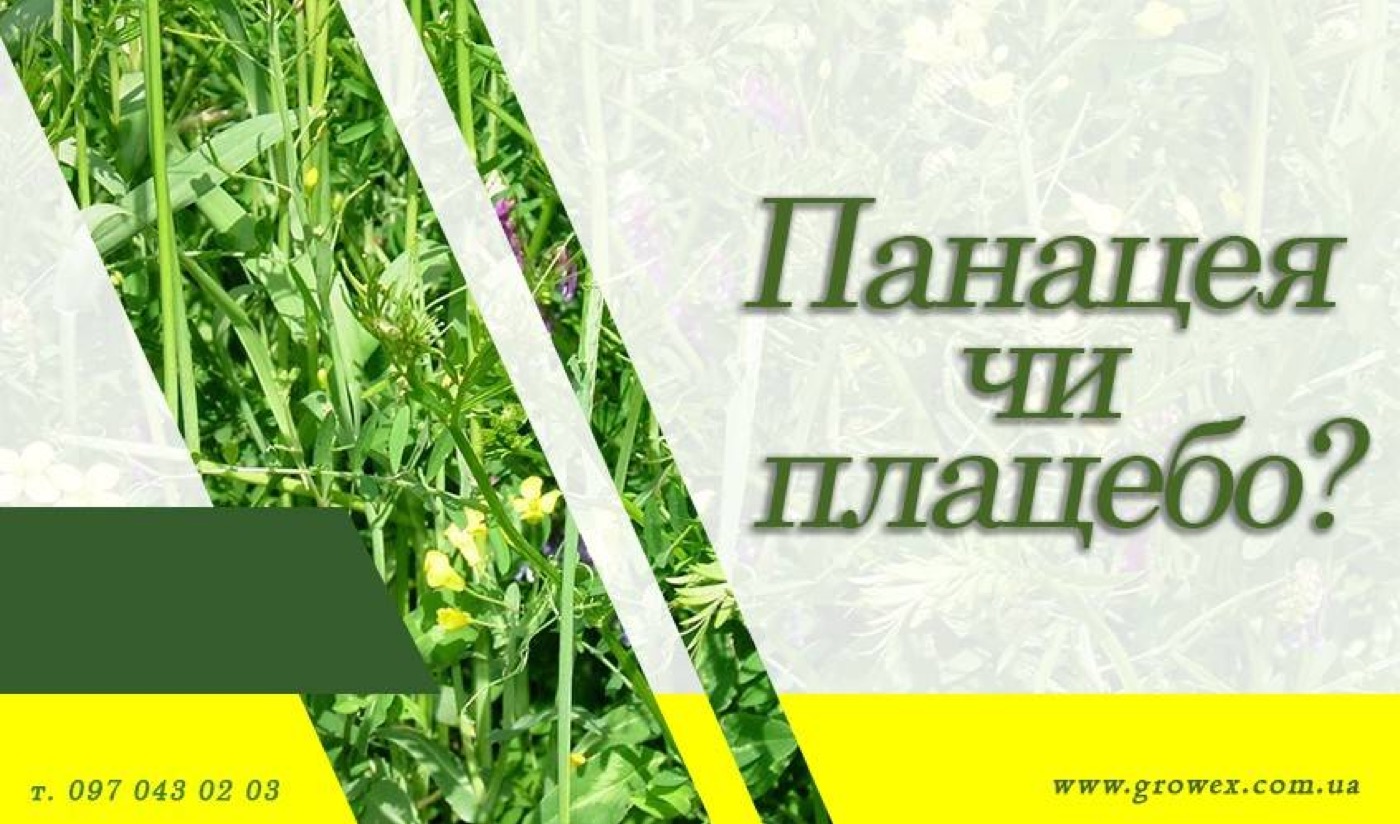 Сидерат. Зелене добриво - панацея чи плацебо?