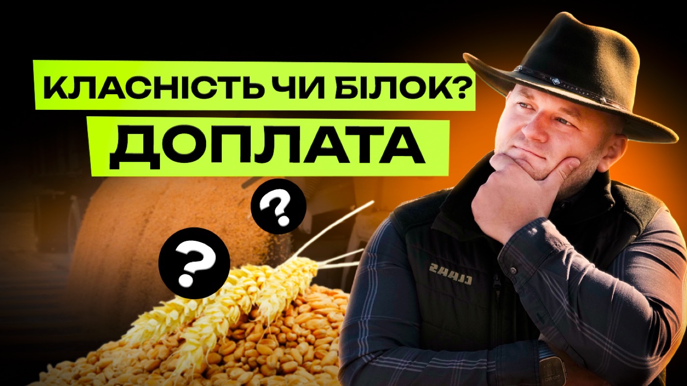 ФЕРМЕРАМ НЕ ПЛАТЯТЬ ЗА КЛАС ЗЕРНА! ЯК ТЕХНОЛОГІЇ ЗНИЩИЛИ КЛАСНІСТЬ? ДОПЛАТА ЗА БІЛОК