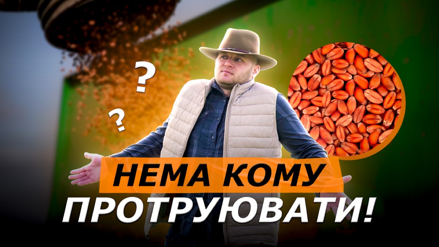 🌾 Протруєння пшениці: чому малі фермери щороку відчувають один і той самий біль?