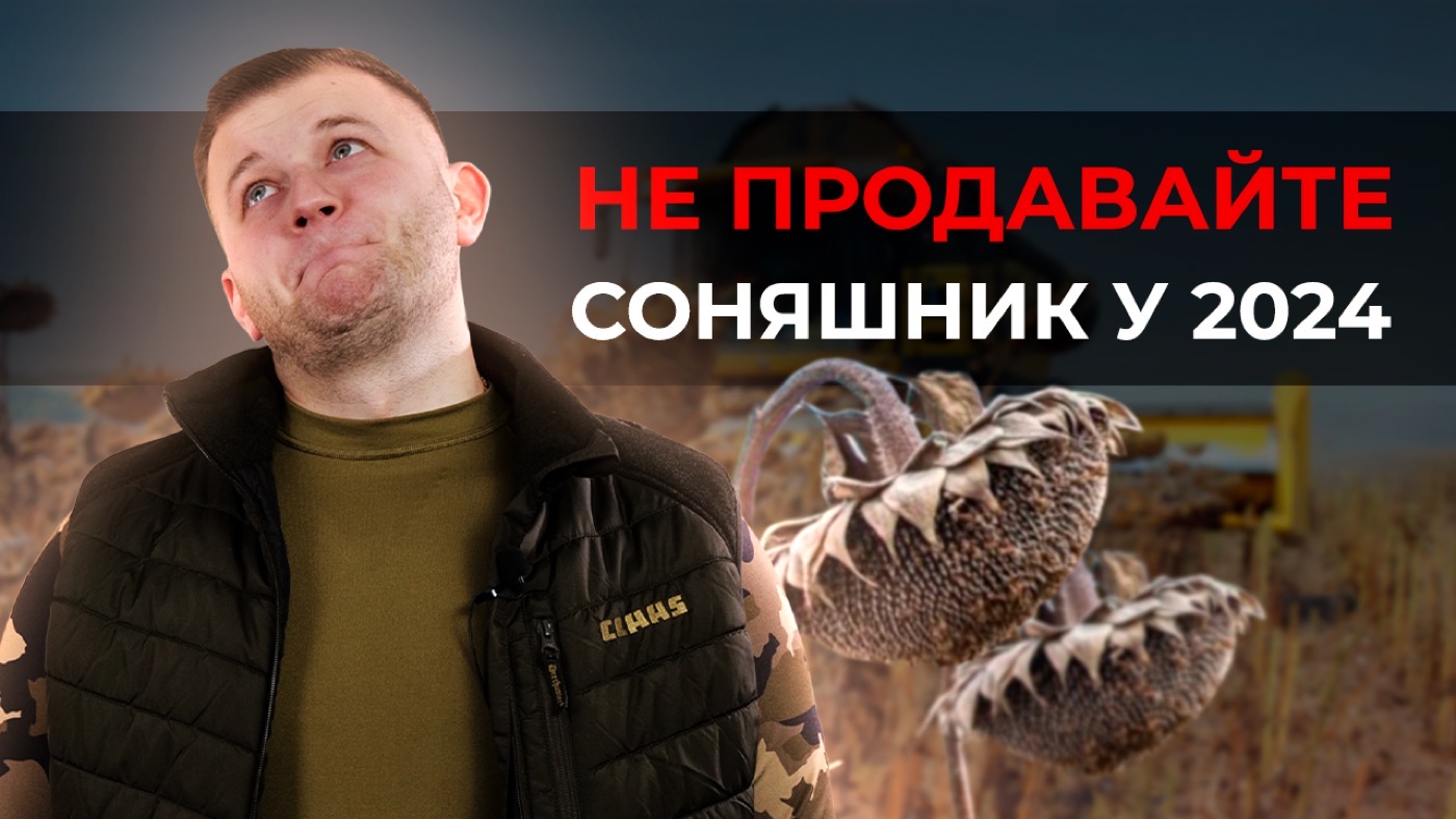 Не продавайте соняшник, поки не прочитаєте цю статтю!
