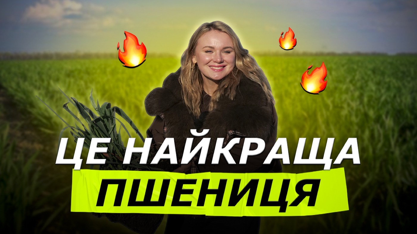 Регенераційне землеробство: чому настав час міняти підхід до ґрунту?