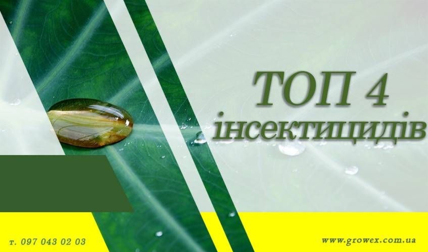 Топ 4 інсектицидних протруювачів