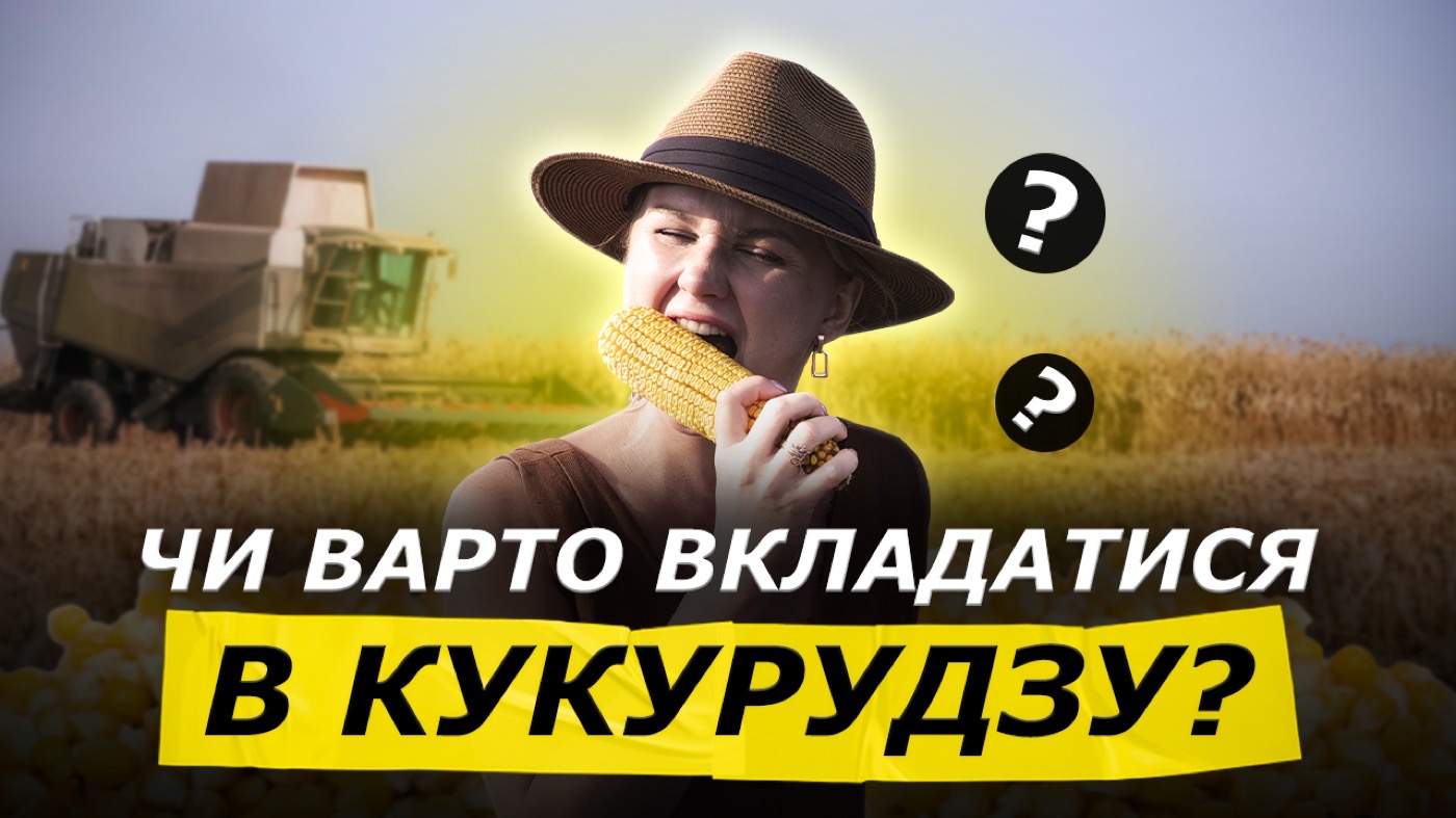 Кукурудза-2025: нові технології та як отримати більше врожаю