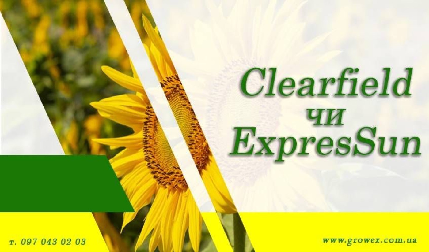 АгроНЯНЯ #14 Класична, Clearfield чи ExpresSun?