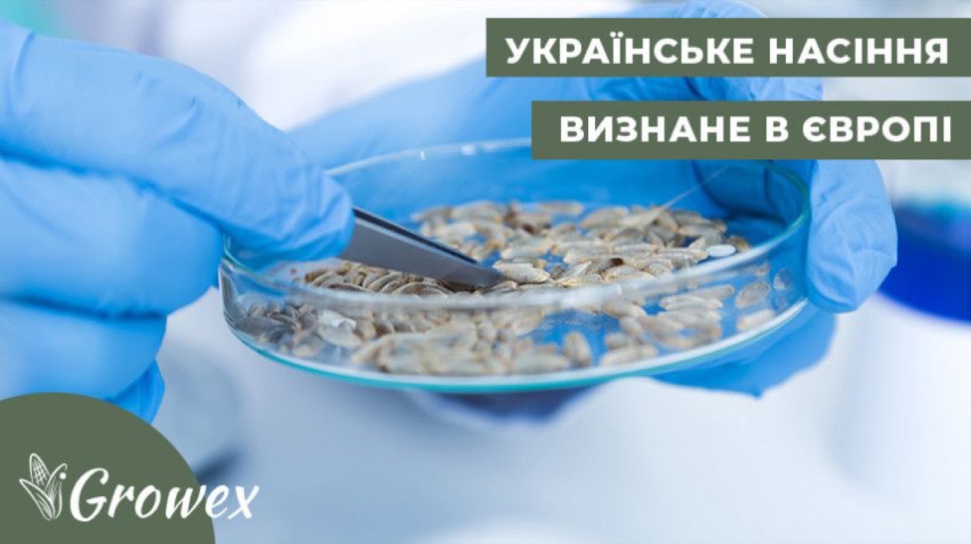 ЯК УНИКНУТИ СУПЕР-БУР'ЯНІВ?