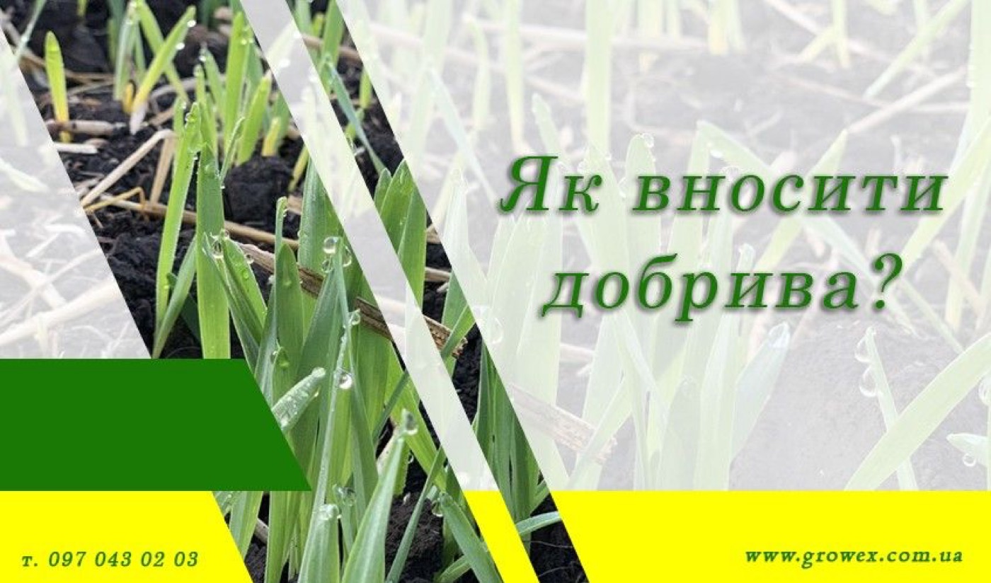 Організація живлення озимих навесні