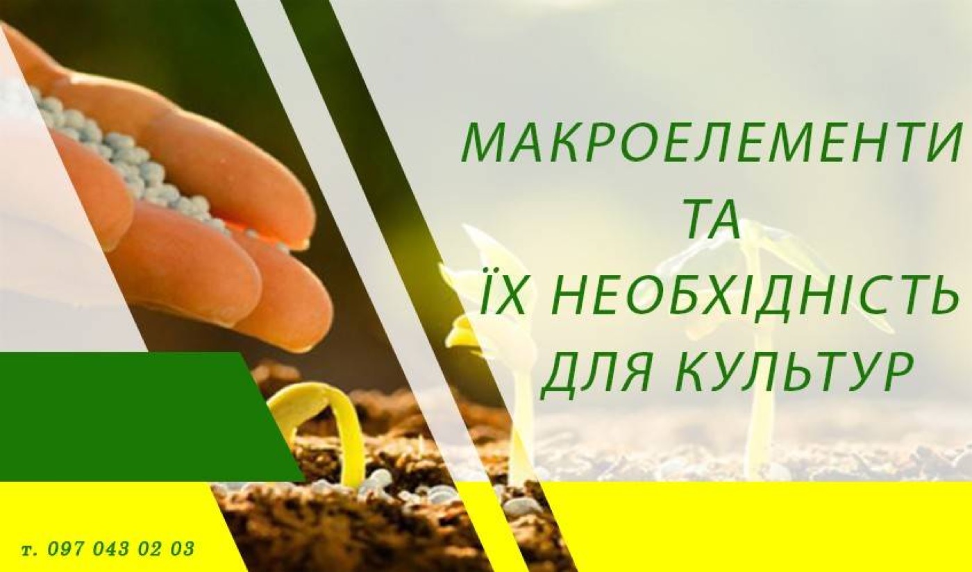 Макроелементи та їх необхідність для культур