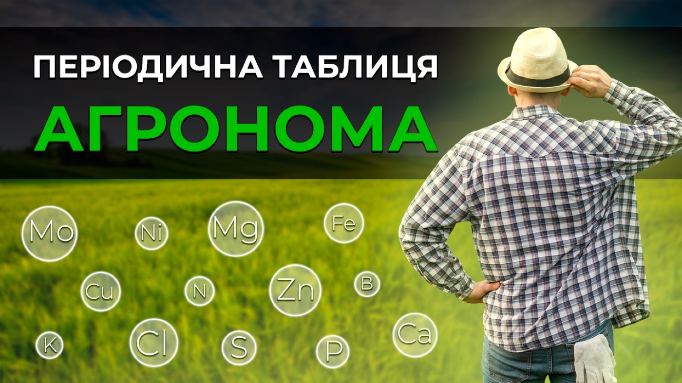 Періодична таблиця агронома: 17 ключових елементів живлення рослин