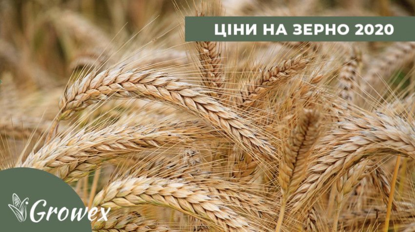 Ціни на зерно. Ліквідація держрезерву. Філодія