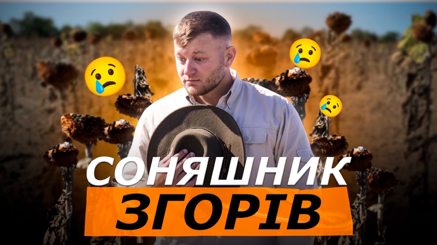 20 науково доведених інструментів, як уберегти соняшник від посухи