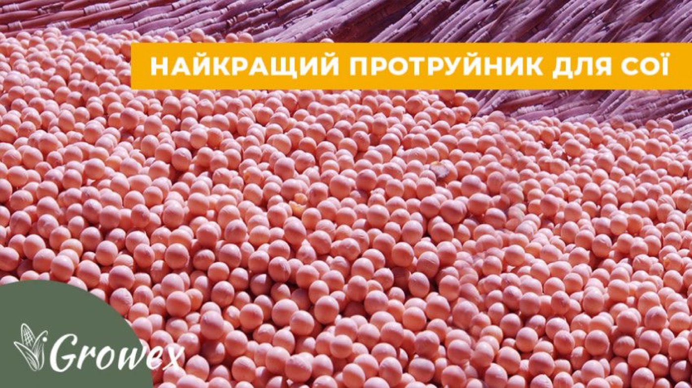 Який протруйник обрати на сою?