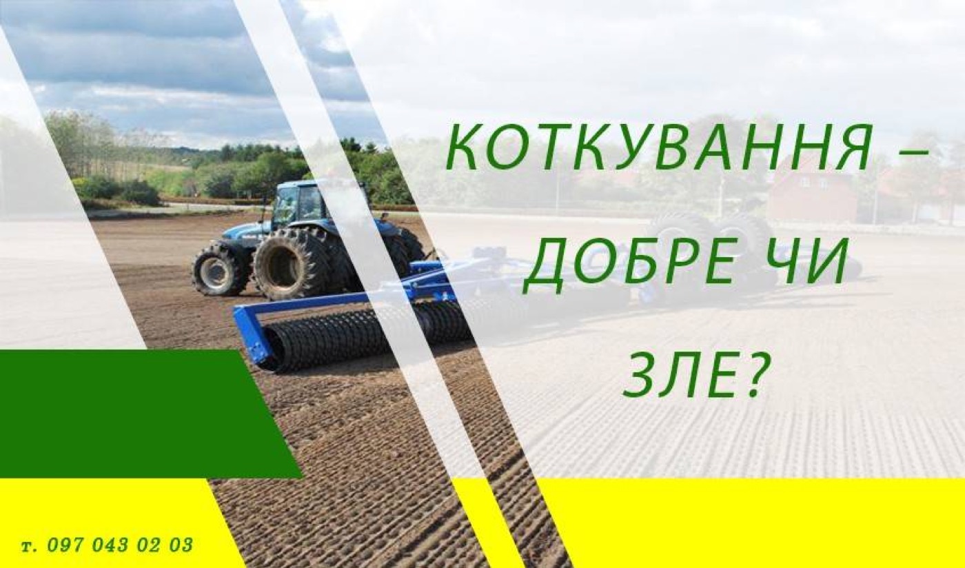 Коткування – добре чи зле?