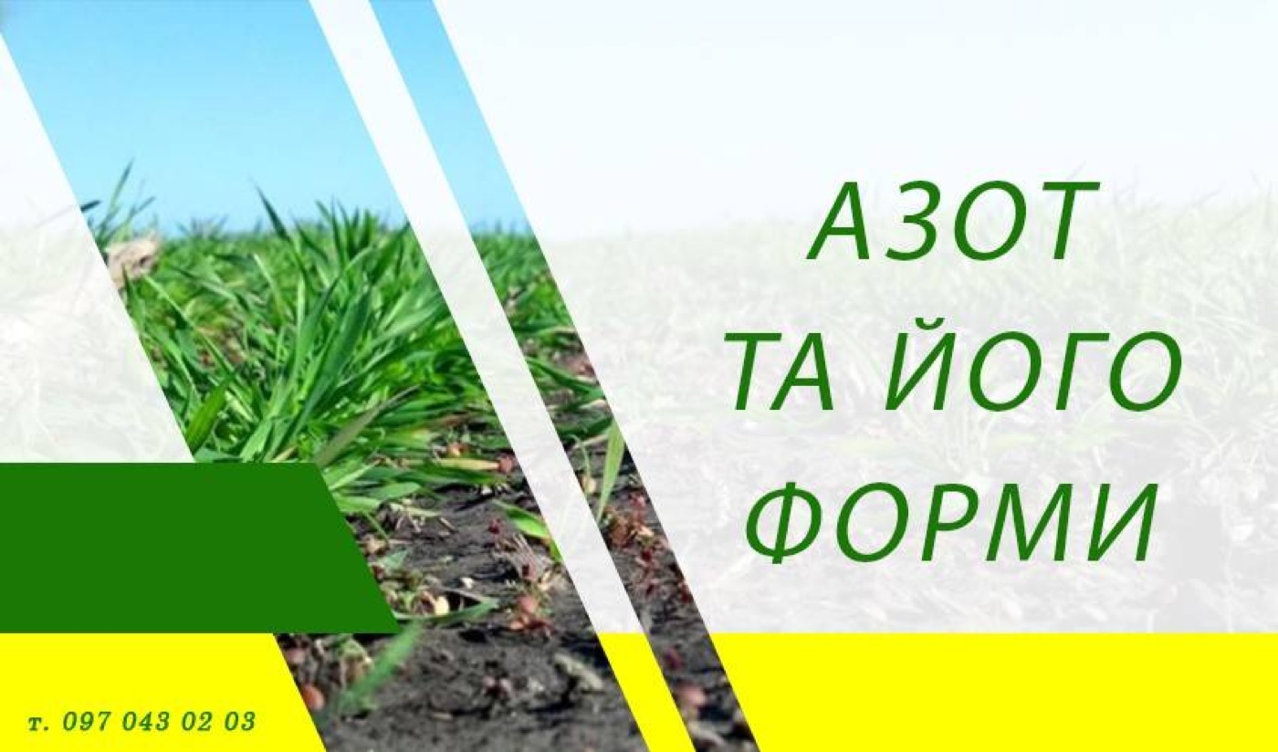 Азот та його форми як важлива складова врожайності.