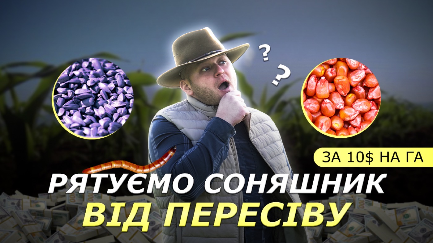 🐛 Ваше насіння — не корм для жуків. Захищайте врожай інсектицидним протруюванням!