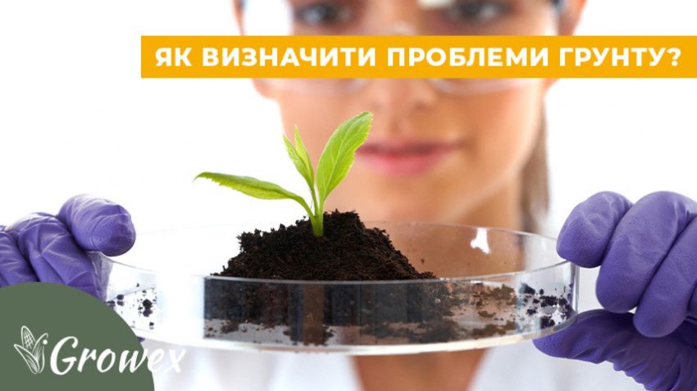 Аналіз ґрунту