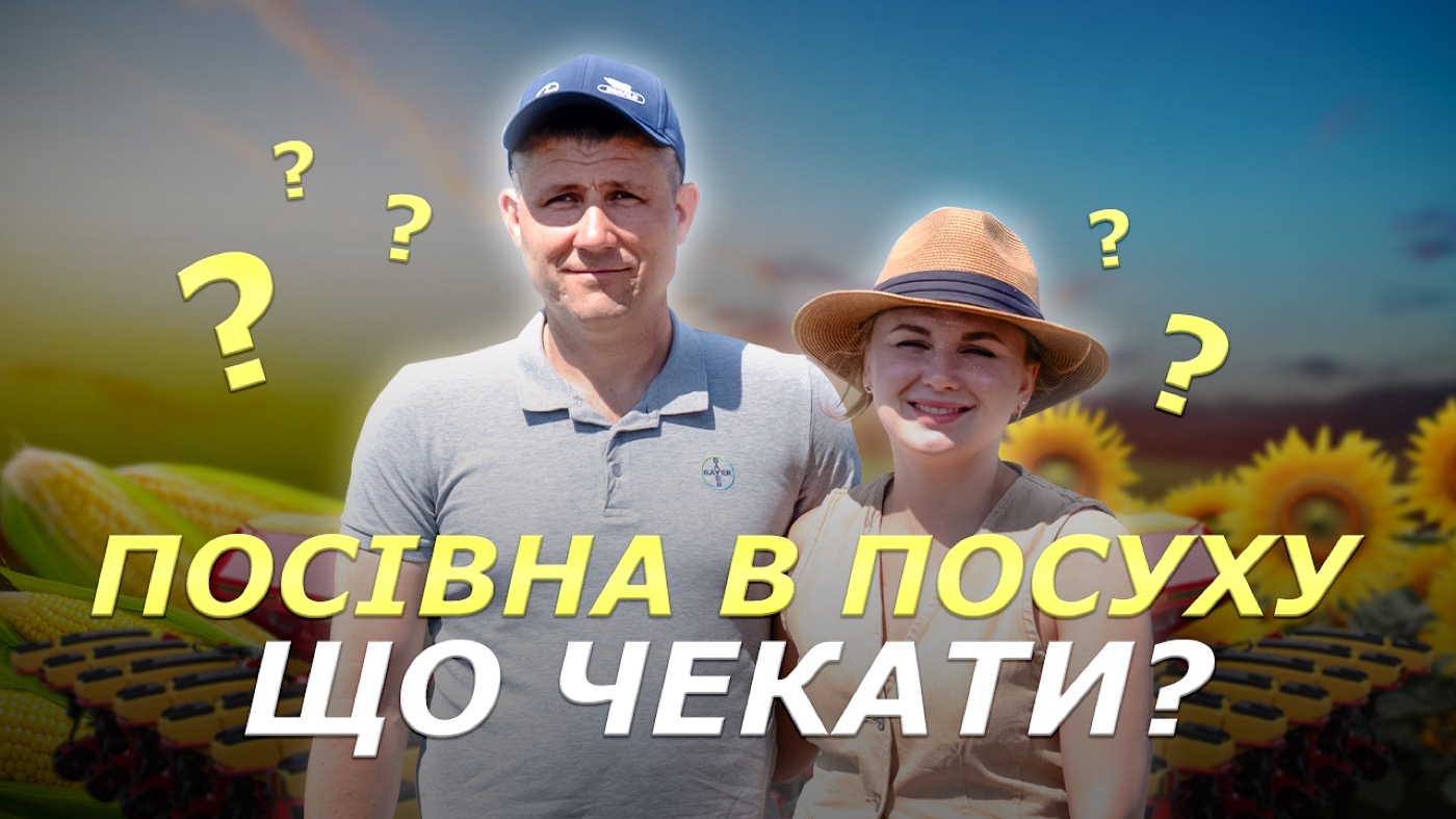 Як сіють кукурудзу та соняшник на топових агрополях України