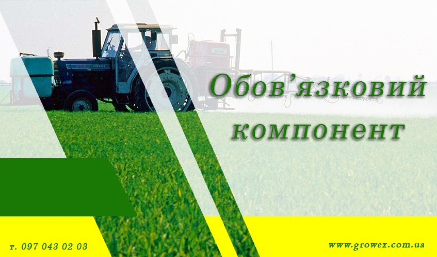 Сульфат магнію - обов'язковий компонент підживлення.