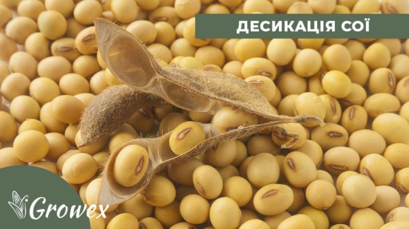 Якісна десикація сої