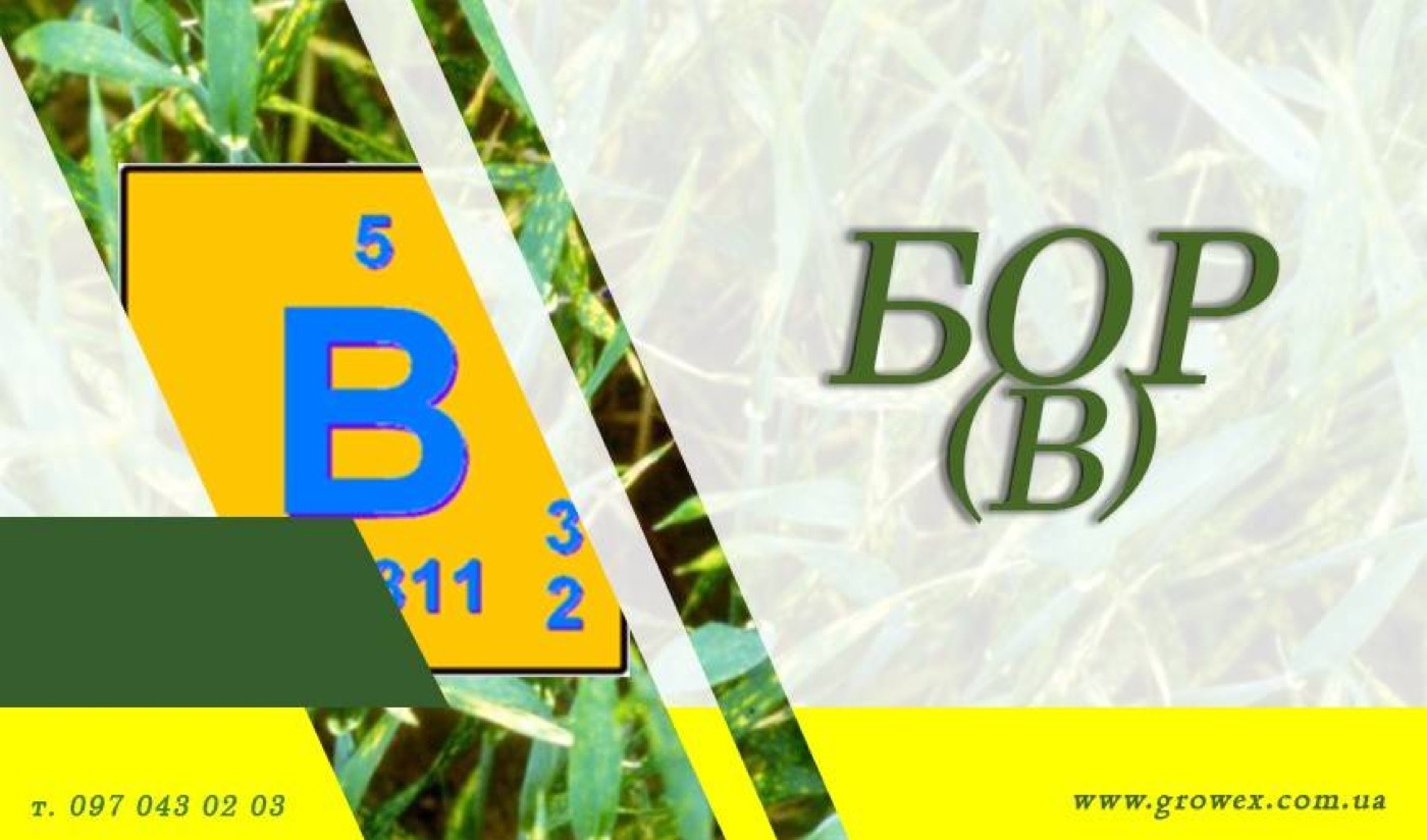 Бор (В)