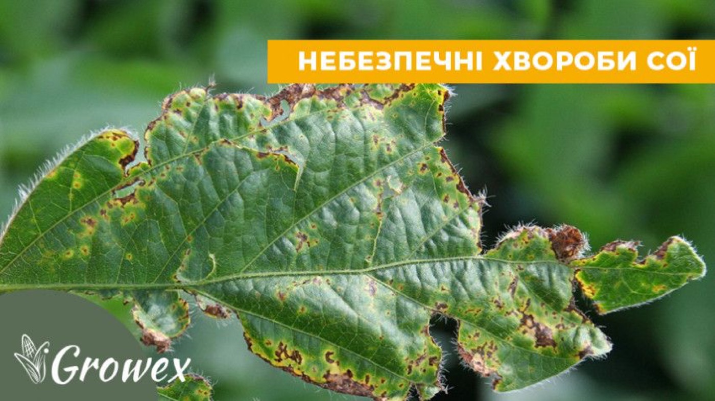 Фунгіциди на сою