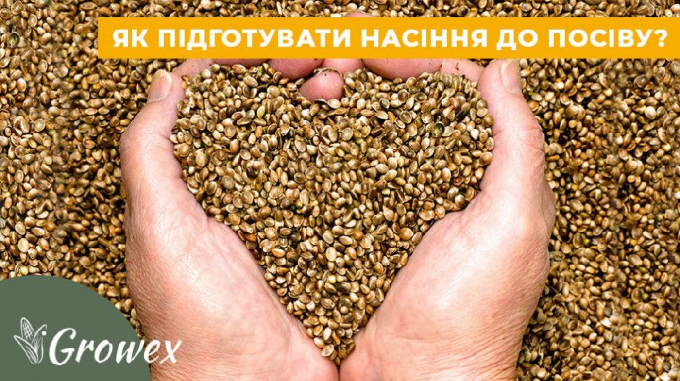 Підготовка насіння до посіву
