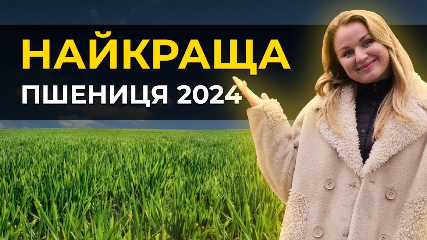 НОВІ ПІДХОДИ У ВИРОЩУВАННІ ПШЕНИЦІ ОЗИМОЇ🌾. ДОСВІД ФЕРМЕРІВ З КІРОВОГРАДЩИНИ