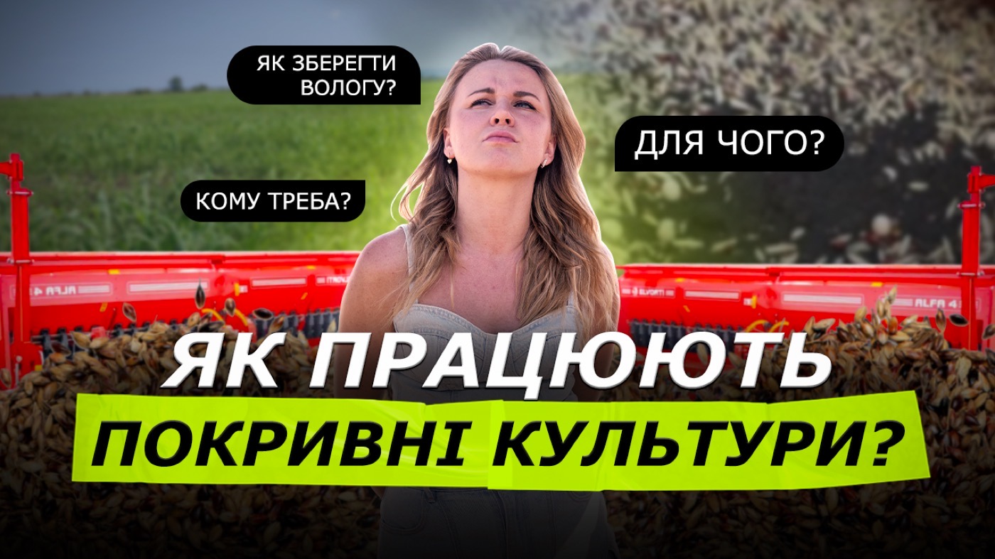 Сіємо покривку: як зберегти вологу й відновити ґрунт через покривні культури