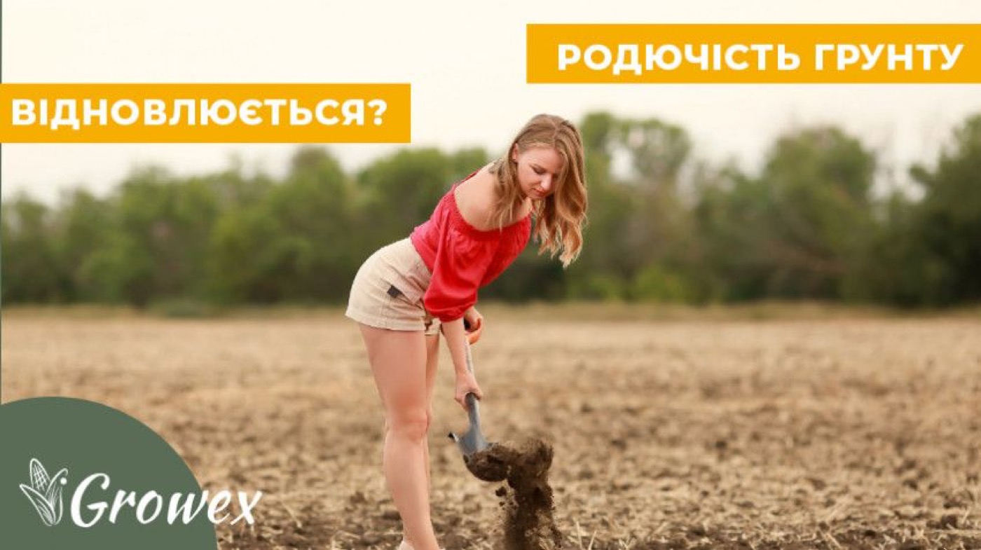 Чи можливе відновлення родючості ґрунту?