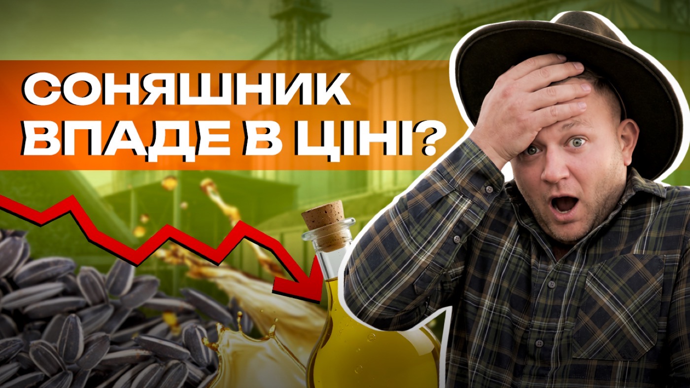 Ціна на соняшник і сою може впасти вдвічі? Що зараз відбувається на ринку