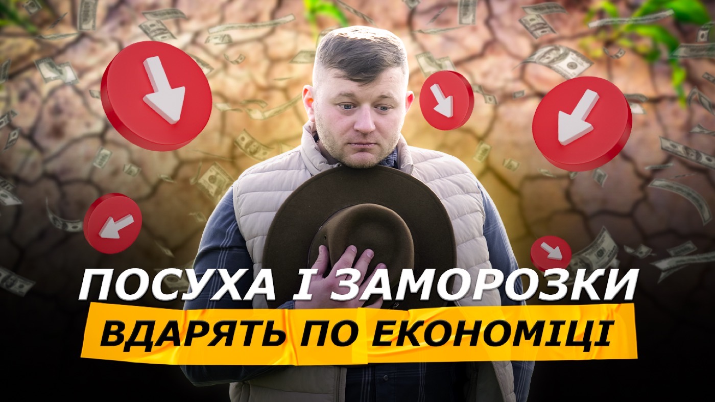 Весняна посуха і приморозки: Україна може втратити до 5 млрд доларів ВВП лише через пшеницю