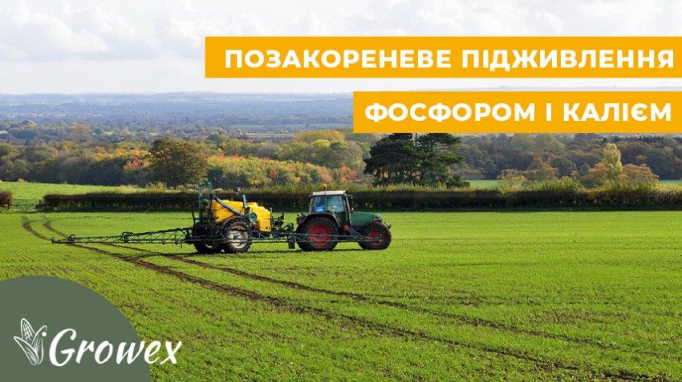 Позакореневе живлення фосфором та калієм