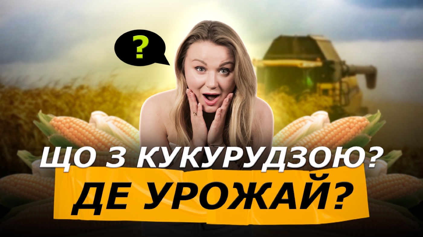 Що сталося з кукурудзою у 2025? Як не провалитися з кукурудзою у наступному сезоні? Секрети вирощування кукурудзи