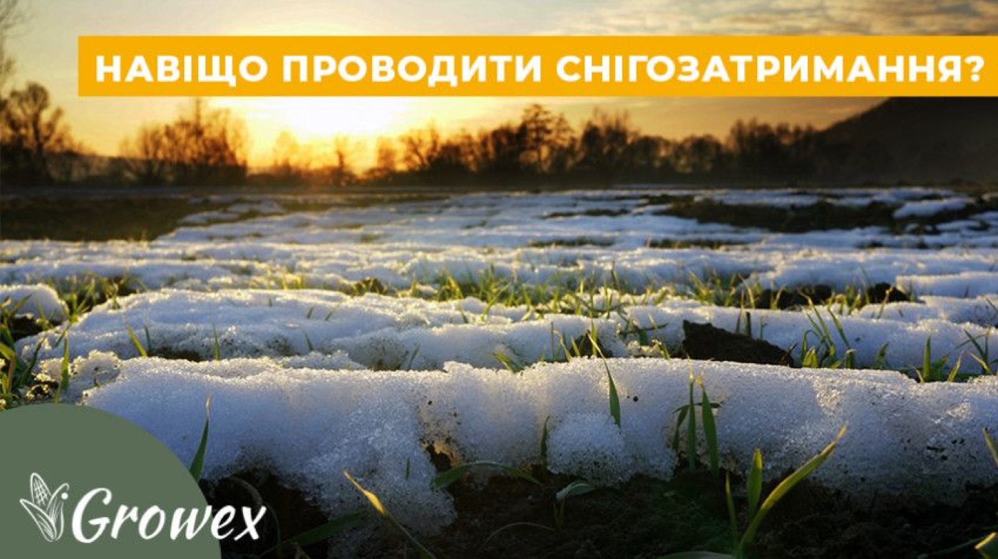 Технічні рішення щодо снігозатримання