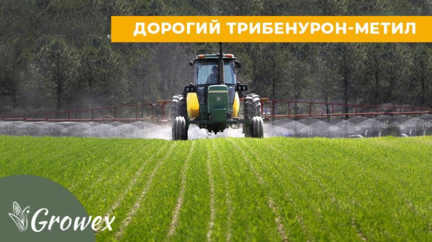 Особливості застосування трибенурон-метилу