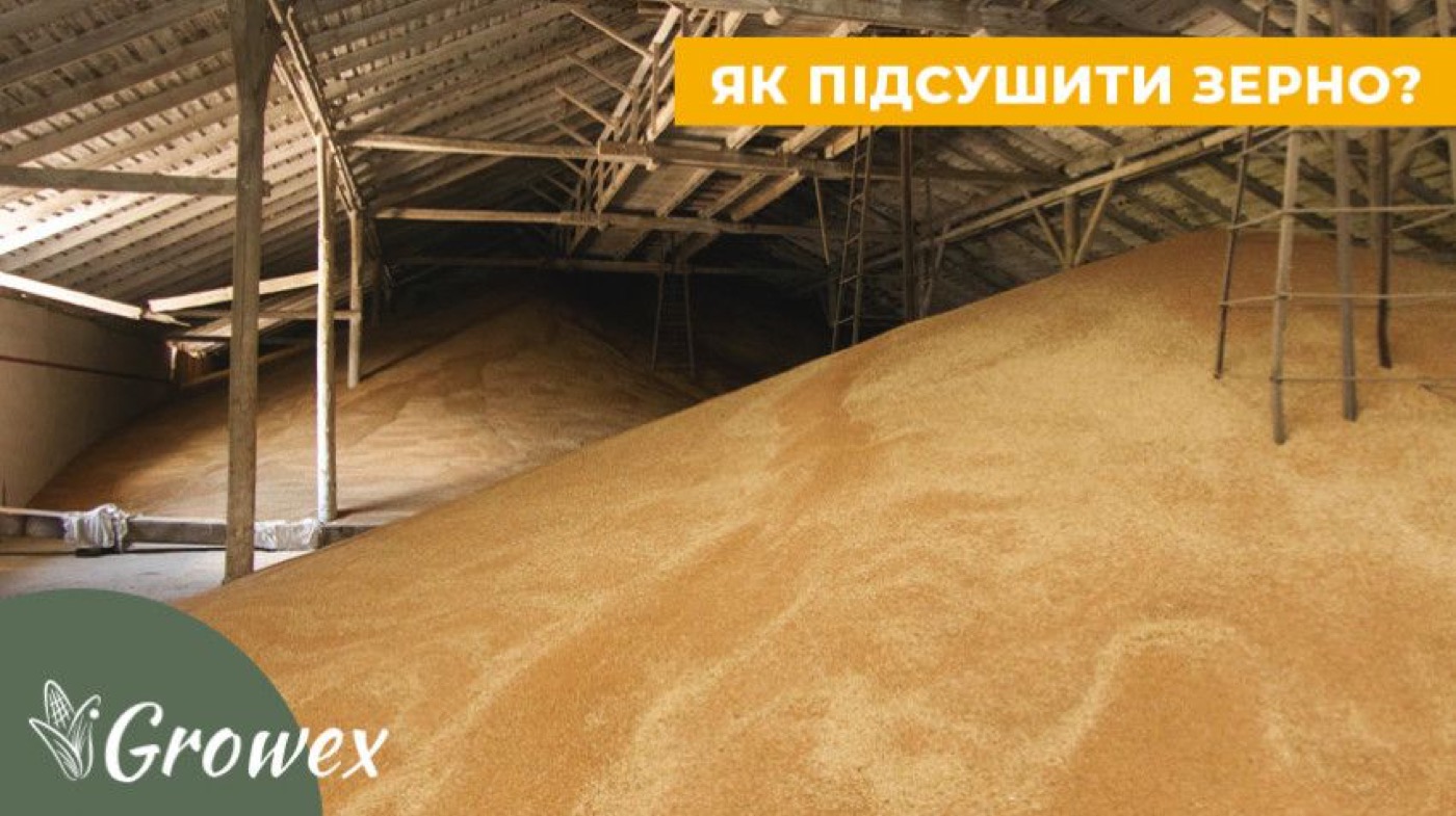 Вологе зерно. Як підсушити?