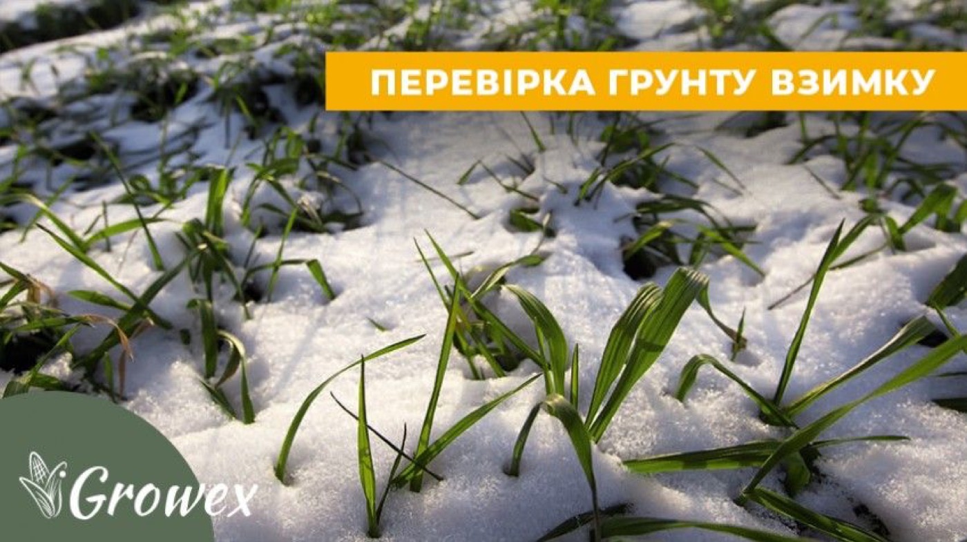 Моніторинг ґрунтів узимку