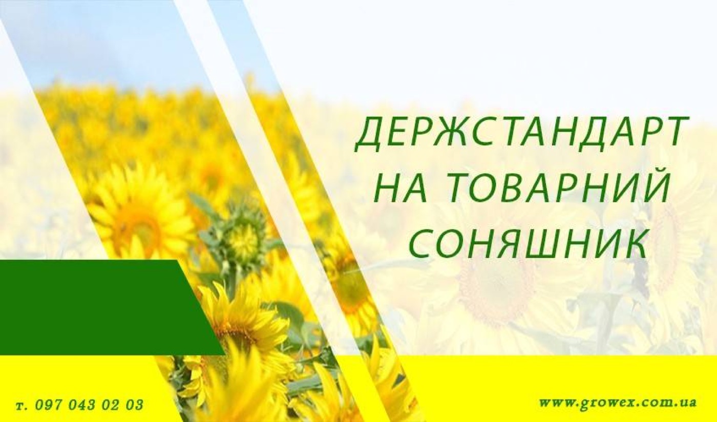 Держстандарт на товарний соняшник