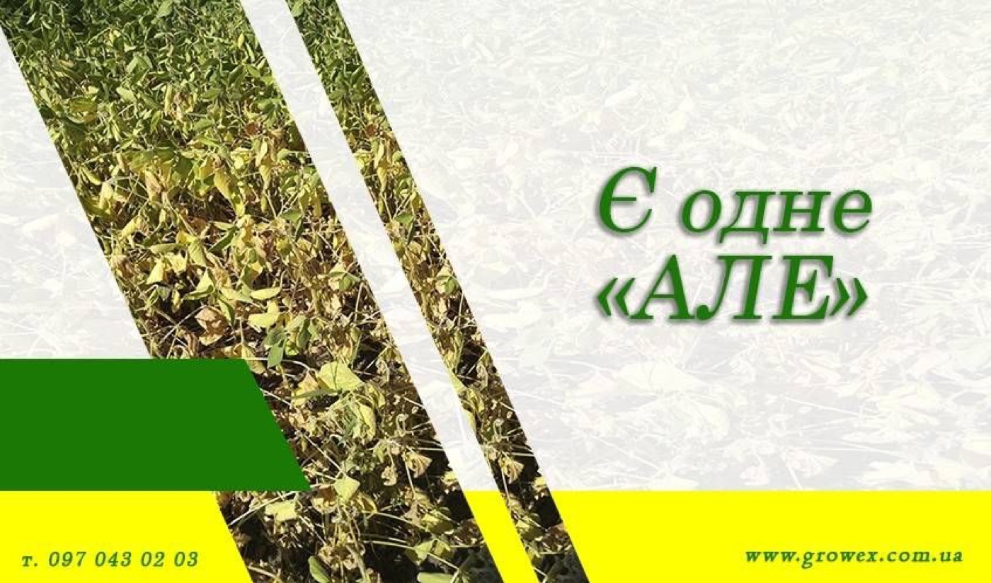 АгроФЕЙЛ #1. Дикамба і 2,4Д - гербіцид не працює?