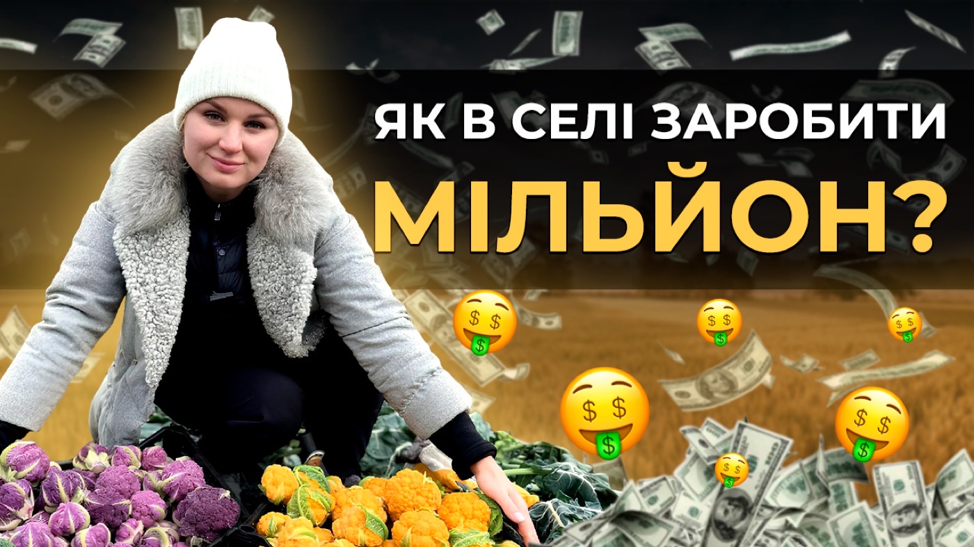 Як заробити мільйон на овочах: досвід вирощування капусти