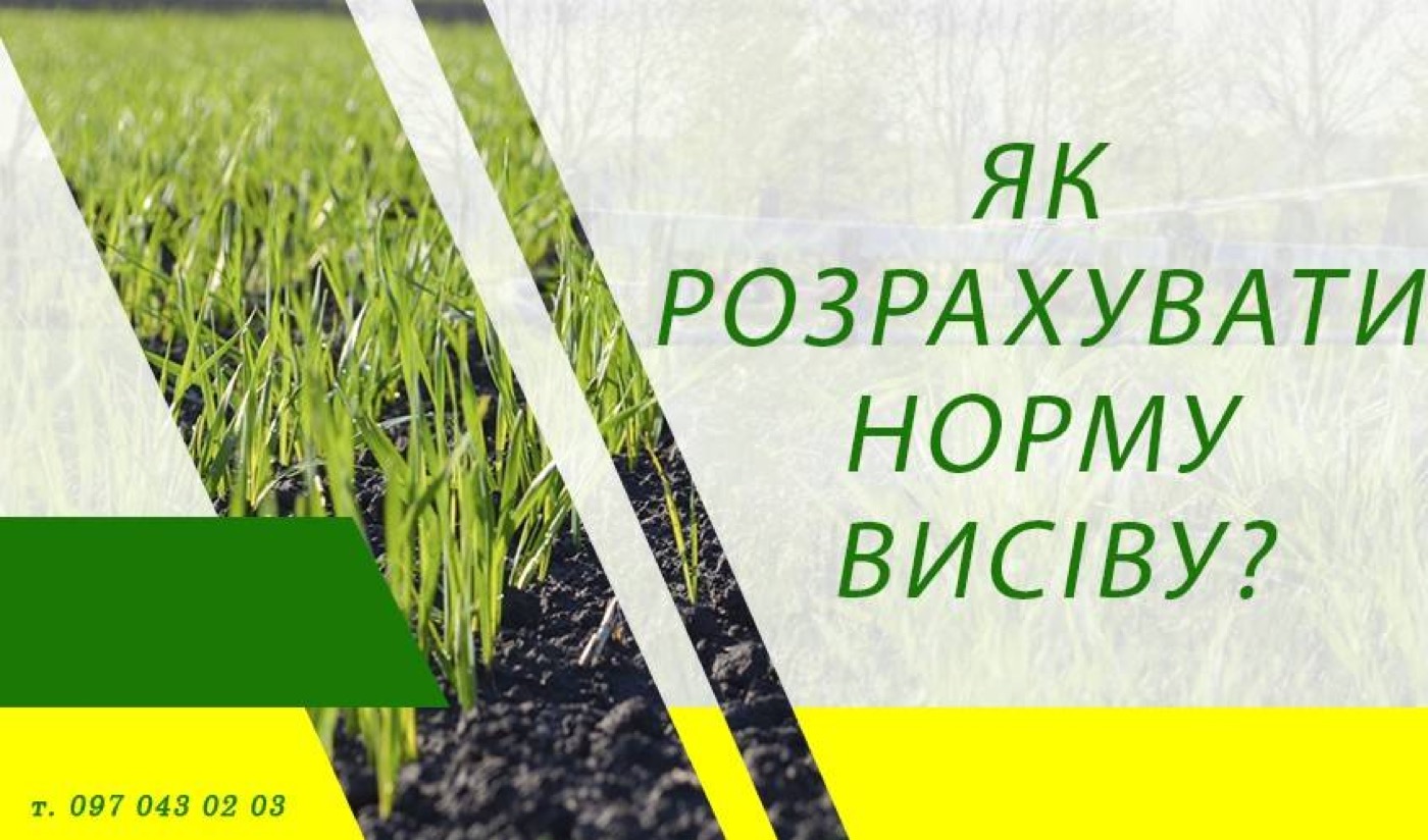 Як розрахувати норму висіву?