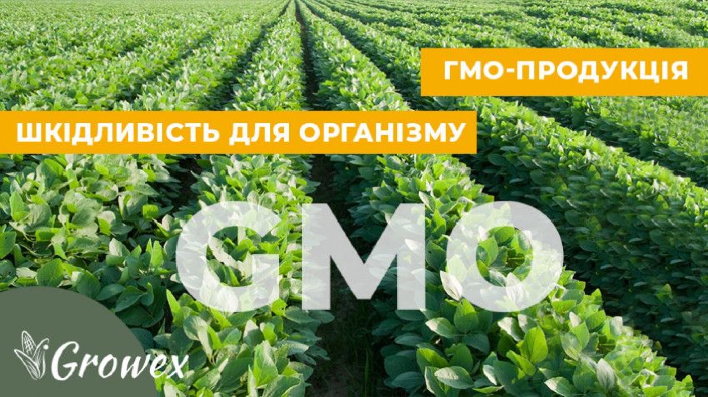 Чи шкідливі ГМ-культури?