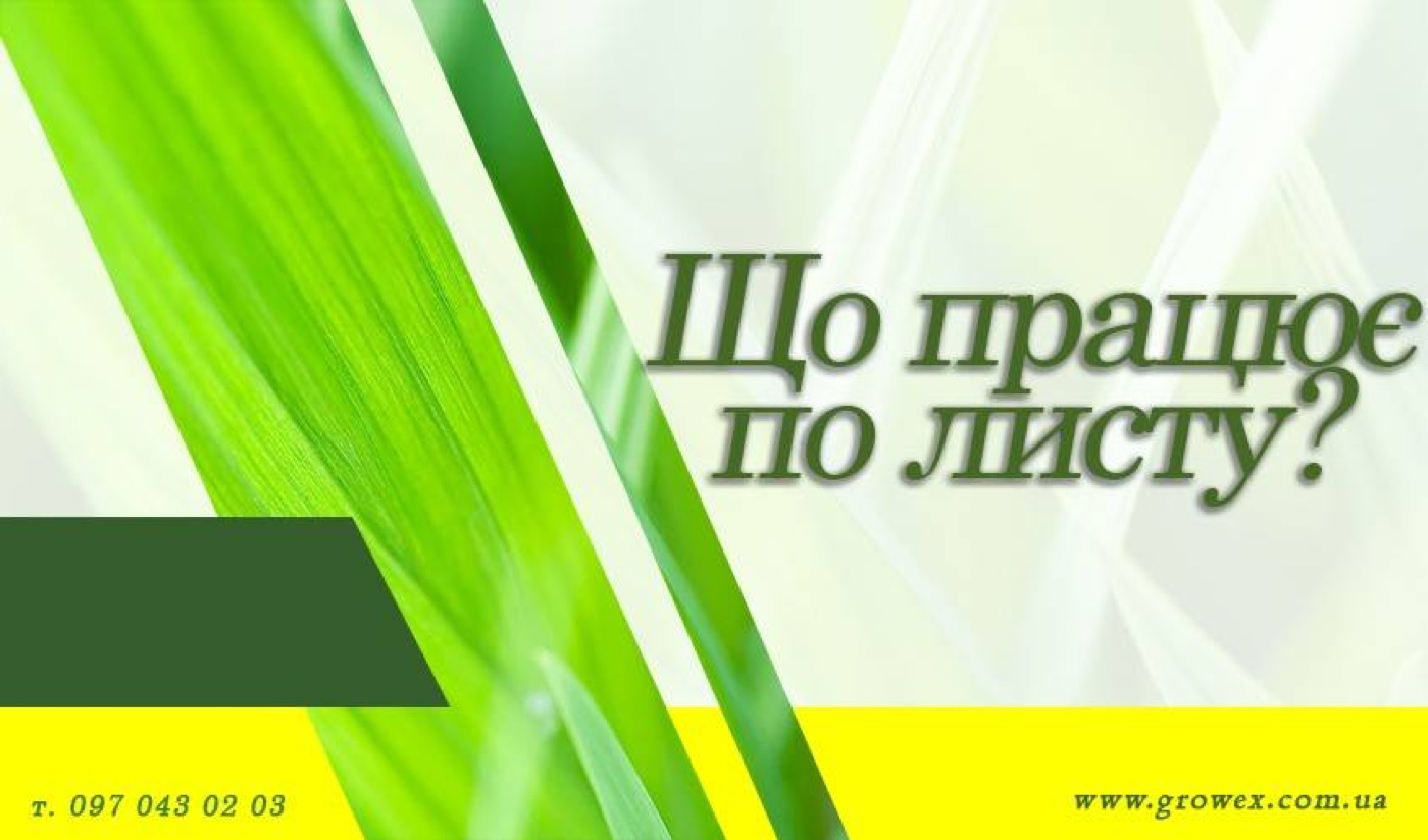 Що дійсно працює по листу?!