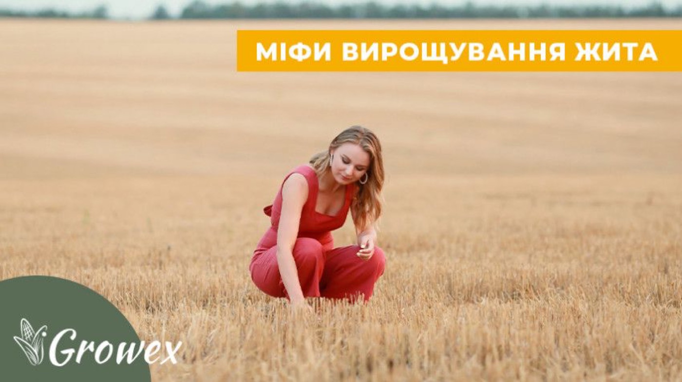 Міфи вирощування жита