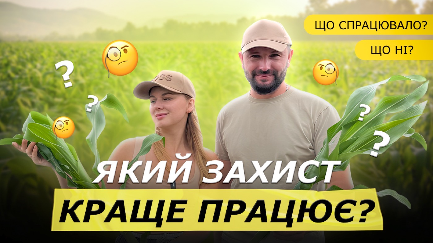 Досвід захисту соняшнику й кукурудзи у сезоні 2025