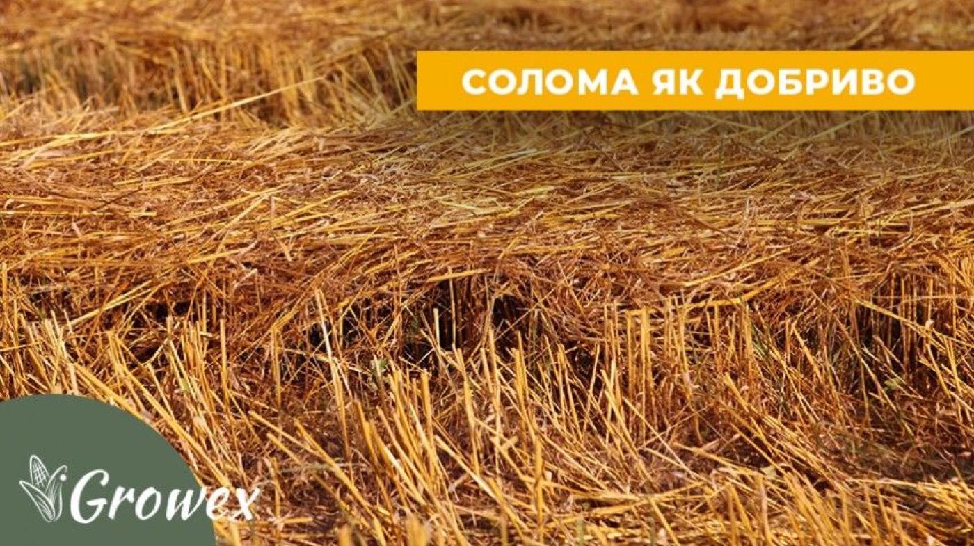 Солома як добриво