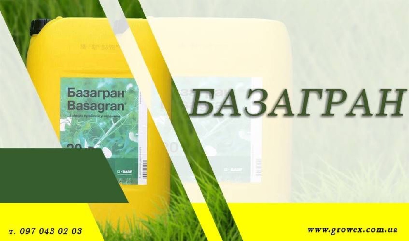Базагран