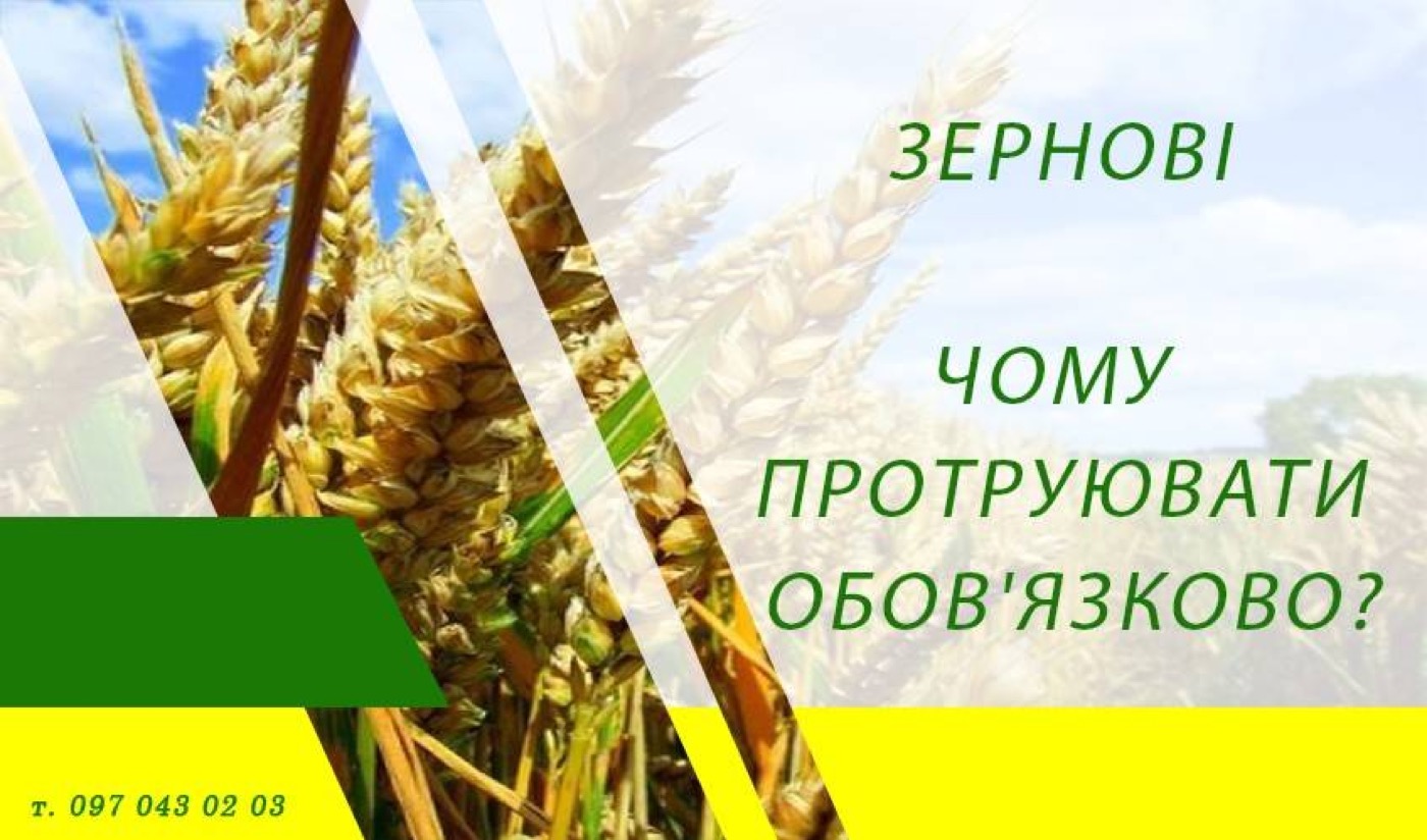 Зернові. Чому протруювати обов'язково?