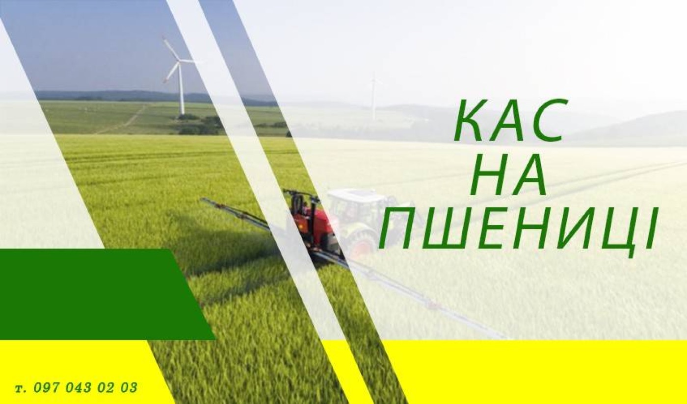 КАС на пшениці